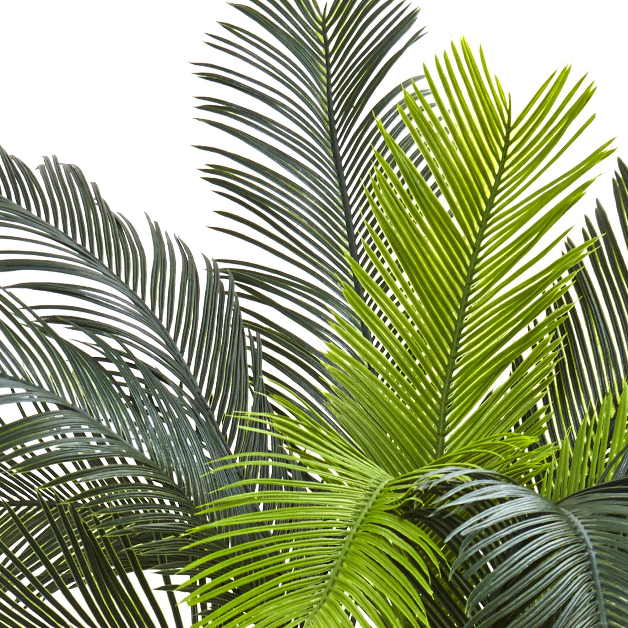 3ft. Potted UV Resistant Cycas Tree